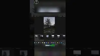 Секреты быстрой обработки фотографий в Lightroom раскрыты! Преобразите свои фотографии!
