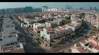 Why Bloom Holding