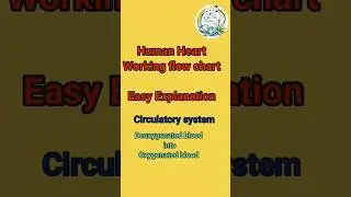Human heart working flow chart/Esay explain#heart#cardio  #humanbody#circulatorysystem#shorts#trend