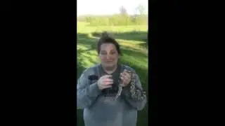 Recovering Families  -  B&E reptiles pt 2