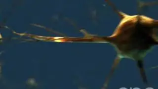 Neuron - 3D Medical Animation || ABP &copy;