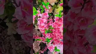 Beautiful Romantic Roses 🌹 Flowers 💐 #youtubeshorts #viralvideo #beautful #flowers