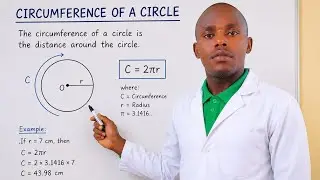 P5 Maths: Find the Circumference of a circle given radius and Pi