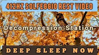 412hz SOLFEGGIO FREQUENCY VIDEO | DEEP RESTFUL SLEEP NOW! | Decompression Station 