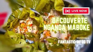 Découverte Nganda ya Maboke à N'sele Mbenzale