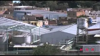Agave Landscape and Ancient Industrial Facilities of  ... (UNESCO/NHK)