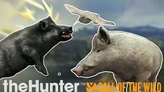Trof&eacute;us Remodelados + Galinhola Leucismo | The Hunter Call of the Wild 