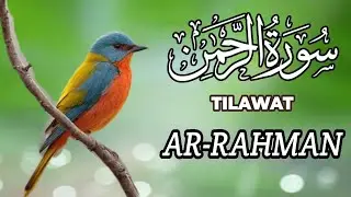 Surah Ar-Rahman full ( سورہ الرحمن ) Kitabullah Sr Tilawat video
