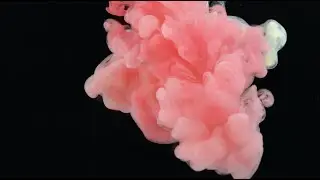 I AM SOUND by Jasmin Harsono for Emerald and Tiger