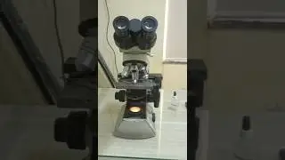 microscope 🔬❤️ #microscope #dmlt #students #scienceexperiment #viral #dmlt #laboratory #lab