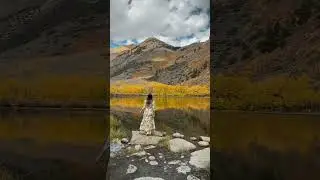 View from Sunday 10/9/22 💛Eastern Sierra is all in fall colors now. #shorts #california #travelblog
