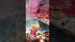 Sri Satha Chandi Yagam🙏🪷😊#shorts#ytshorts#chandika#homam#like#share#support#3millionviews #superlike