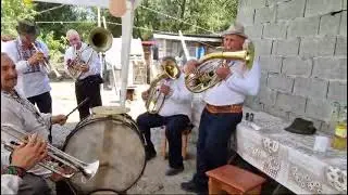 FANFARA FLOAREA DE CIREȘ 0760 289982