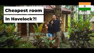 ₹200 / $2.5 Jungle Room in Havelock Island, Andaman (REALLY!) 🤓