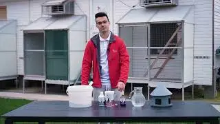 Как мы заботимся о голубях зимой?