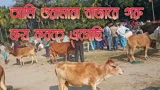 আমি গুরামারা বাজারে গরু ক্রয় করতে এসেছি নিউবলগ