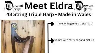 Eldra - is this the the world&rsquo;s smallest playable Triple Harp ? 48 strings - made in wales
