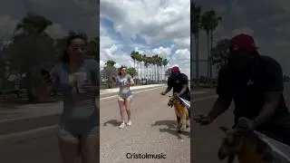 Fake Dog Prank On Baddie Morning Walk 😂😂😂 #shorts
