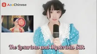 From Natural Protein Fiber to the Silk Road|AoeChinese