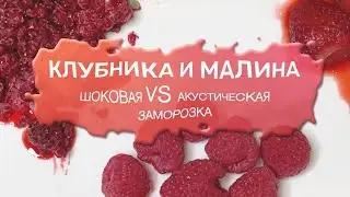 Малина и клубника сравнение шоковой и акустической заморозки.