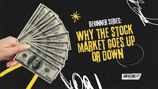 Why Do Stocks Go Up or Down?  A Beginner Guide
