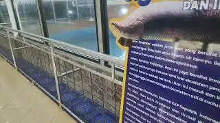 aquarium purbasari purbalingga 