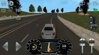 Real driving sim 2020