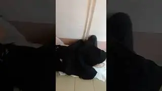 Бомжи в доме. Опять весна-опять грачи. Опять весна -опять бомжи. г.Москва.