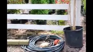 The Most Unusual Business Plan   is at Highland Hill Farm