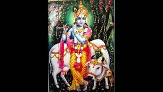 Krishnashtakam ..braje vrajaika Mandanam కృష్ణాష్టకం…భ్రజే వ్రజైక మండనం..
