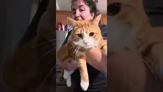 Perfectly squeaky 😂