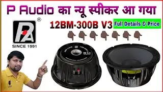 p audio speaker | p audio 300 watt speaker price | model 12bm-300b v3 | full details & price