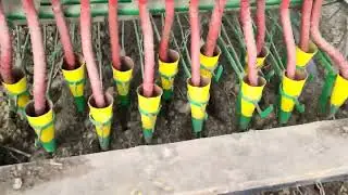 посів ячменю польською сівалкою