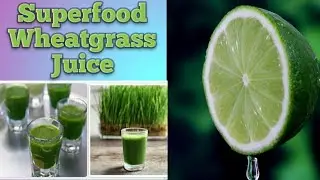 How to make Wheatgrass juice at home (Wheatgrass juice benefits)