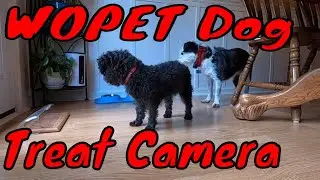 WOPET Dog Treat Camera. Detailed how to setup and use guide with chapters!