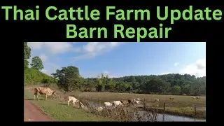 Thai Farm Cattle Barn Repair Update