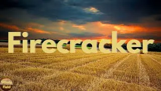 Josh Turner - Firecracker (Lyrics)