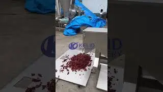Chilli seeds removing machine #machine #foodmachine