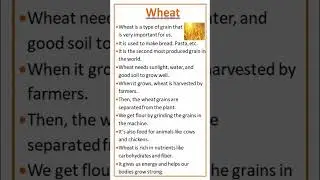 Essay on Wheat #easytolearnandwrite #wheat #shorts #youtubeshorts#yt #grain#agriculture#farmer#crop