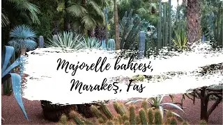 Majorelle bahçesi, Marakeş, Fas #Sukulent #cactus #kaktüs #majorellebahçesi #CactusGarden