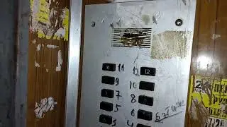Лифты МЛЗ 1981 г.в., V=1 м/с, г/п 320 кг