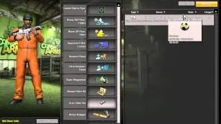 Nexon Bug Report - Combar Arms EU