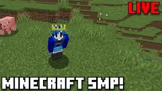 Late night streaming |🔴 Minecraft SMP LIVE (W/ viewers)