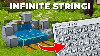 Infinite String Farm in Minecraft 1.20 & 1.21! (Duplication Glitch!) | Minecraft Tutorial