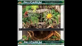 Zoo Med Paludarium Review 36x18x36