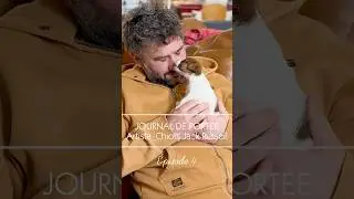 P&eacute;riode 3-4 semaines de nos chiots Jack Russell &agrave; l&rsquo;&eacute;levage #jackrussellterrier #australetboreal