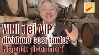 I VINI dei VIP DIVIDONO COSI' TANTO? Rispondo ai commenti