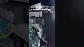 Reef Tank Maintenance Time 🧼🔧 | Clean Tank = Happy Reef! #aquariummaintenance #maintenance #aquarium
