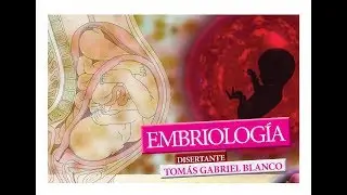 EMBRIOLOGÍA: APUNTES Y CONSEJOS