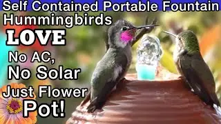 Hummingbird FOUNTAIN Upcycle Attracts Tons of Hummingbirds *NO Sun Solar AC Needed PORTABLE Birdbath